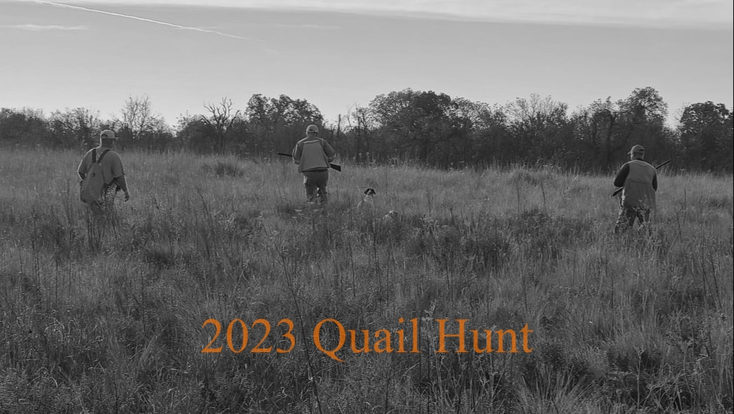 Grand National Quail Hunt